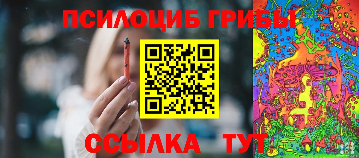 Галлюциногенные грибы Psilocybe  Псилоцибиновые грибы Psilocybine cubensis  Вход с VPN  Отрадное 