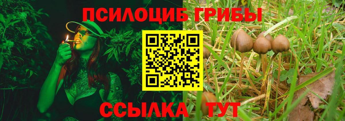 Галлюциногенные грибы Cubensis Отрадное
